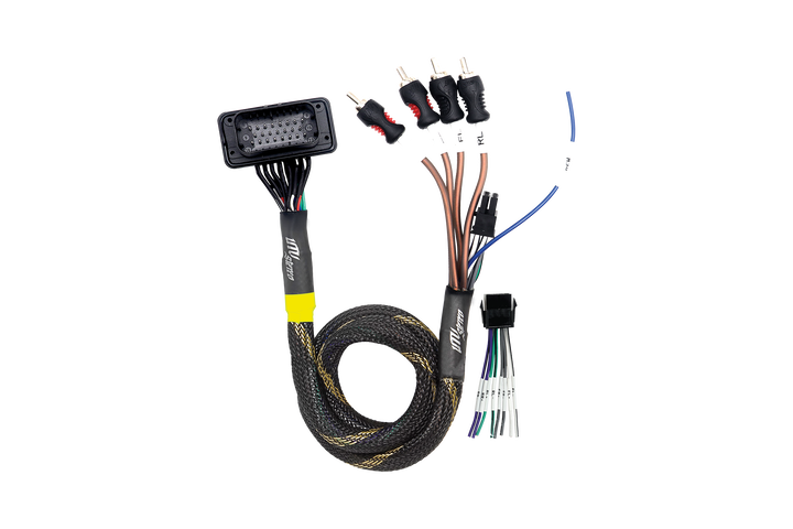 JBL® RCA Output Harness | UTVS-JBL-RC-RCA-OUT